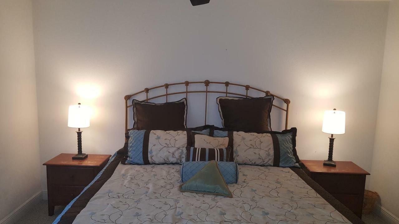 Beautiful Close To Busch Gardens Apartment Tampa