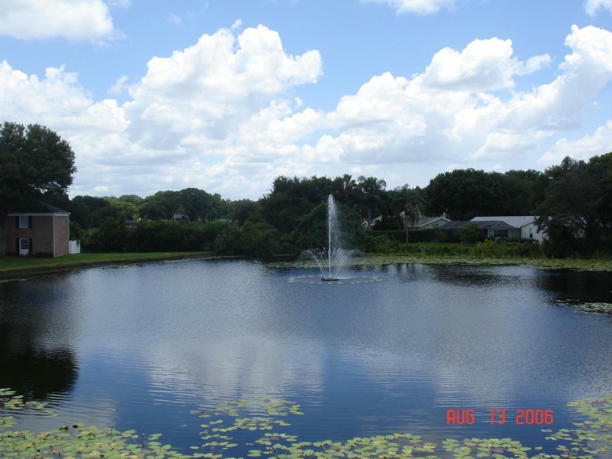 Beautiful Close To Busch Gardens Tampa